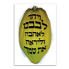 by Torah Umesorah Teacher Center