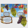 by Torah Umesorah Teacher Center