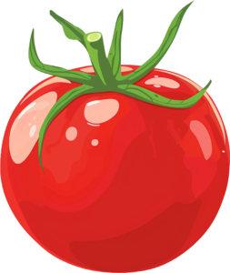 by Torah Umesorah Teacher Center