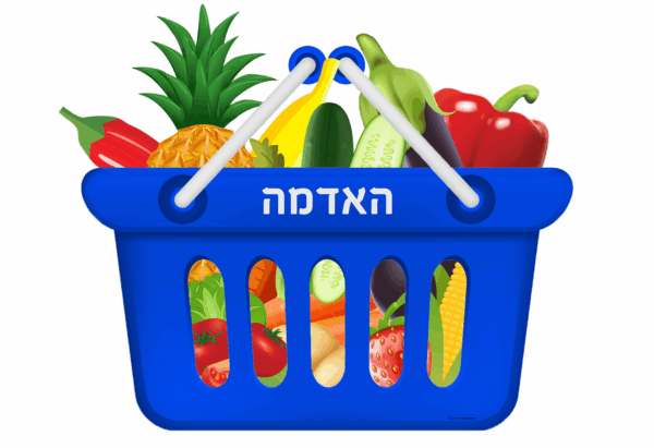 Brachos Shopping Baskets - Image 5