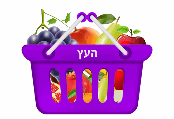 Brachos Shopping Baskets - Image 6