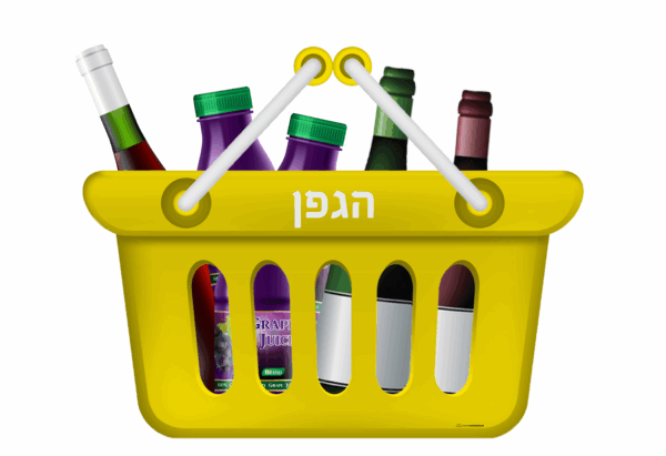 Brachos Shopping Baskets - Image 4