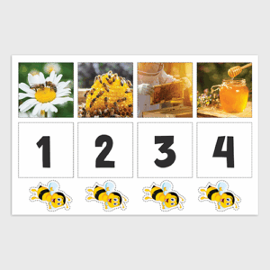 How Bees Make Honey