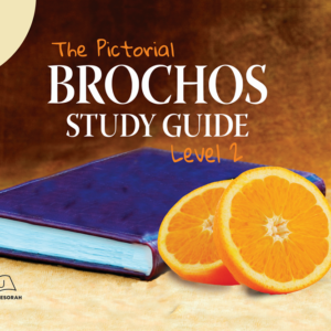 Brochos Study Guide II