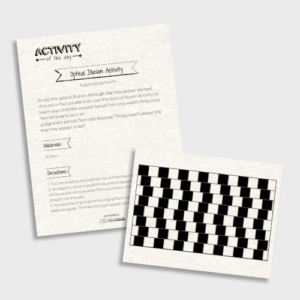 Optical Illusion Lesson Activity