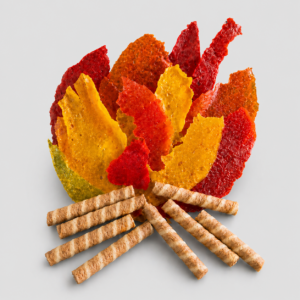 Lag Baomer Bonfire Activity