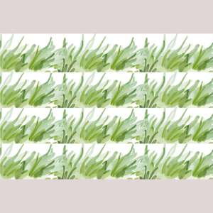 Grass